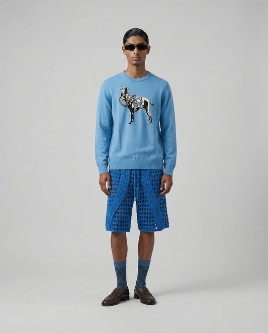 Light Blue Doggie Sweater