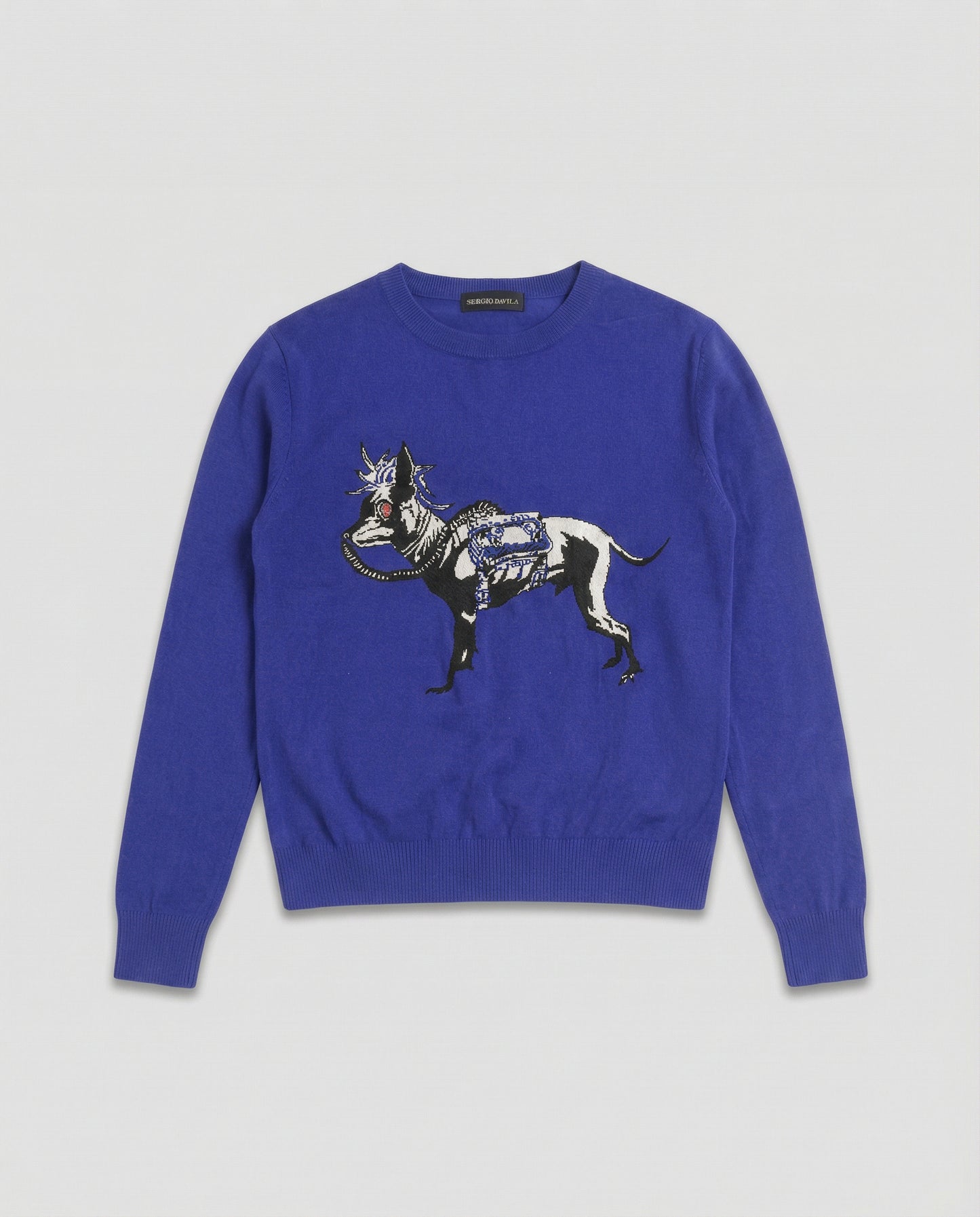 Blue Doggie Sweater