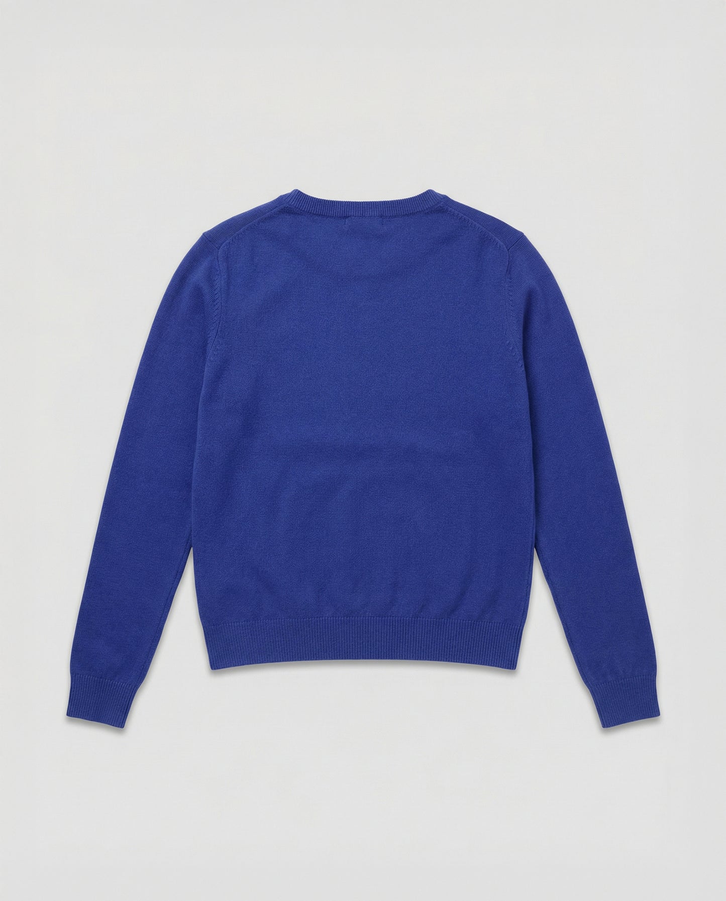 Blue Doggie Sweater