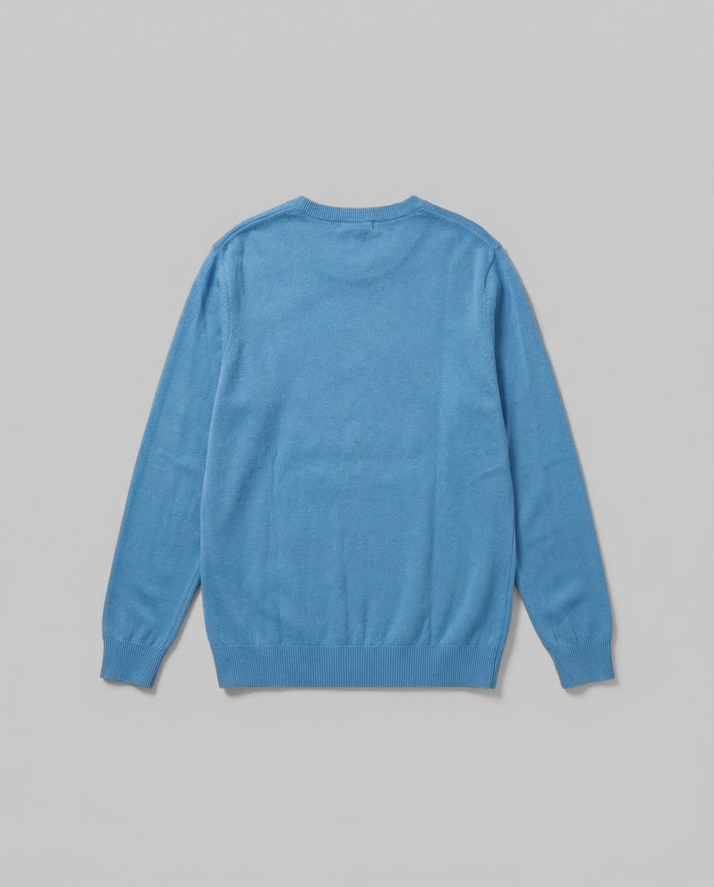 Light Blue Doggie Sweater
